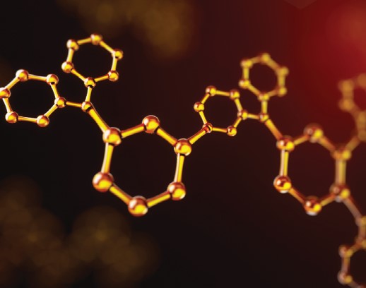 Hybrid Nanopolymers